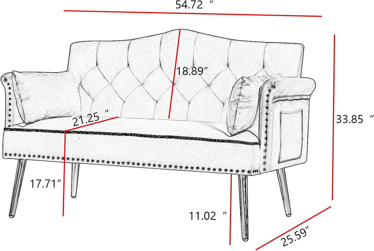 Modern Loveseat Sofa, 2 Seater Upholstered Sofa Couch with 2 Pillows, Luxurious Velvet Couch with Gold Metal Legs, Tufted Sofa Chair for Small Space, Apartment, Office, Bedroom, Pink